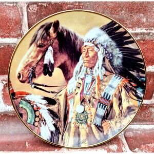American Indian Chief Pride Of The Sioux Franklin Mint Collector Plate 1991